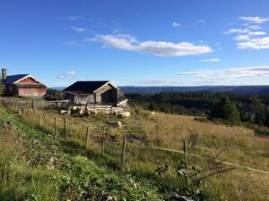 På tur langs Einarsetrunden – Golsfjellet