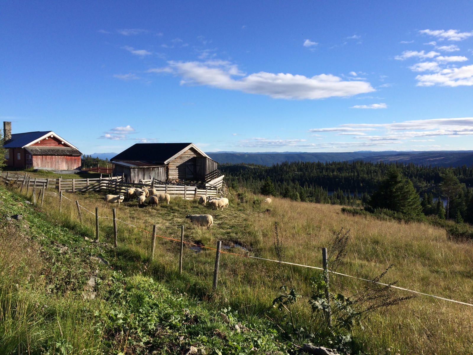 På tur langs Einarsetrunden – Golsfjellet