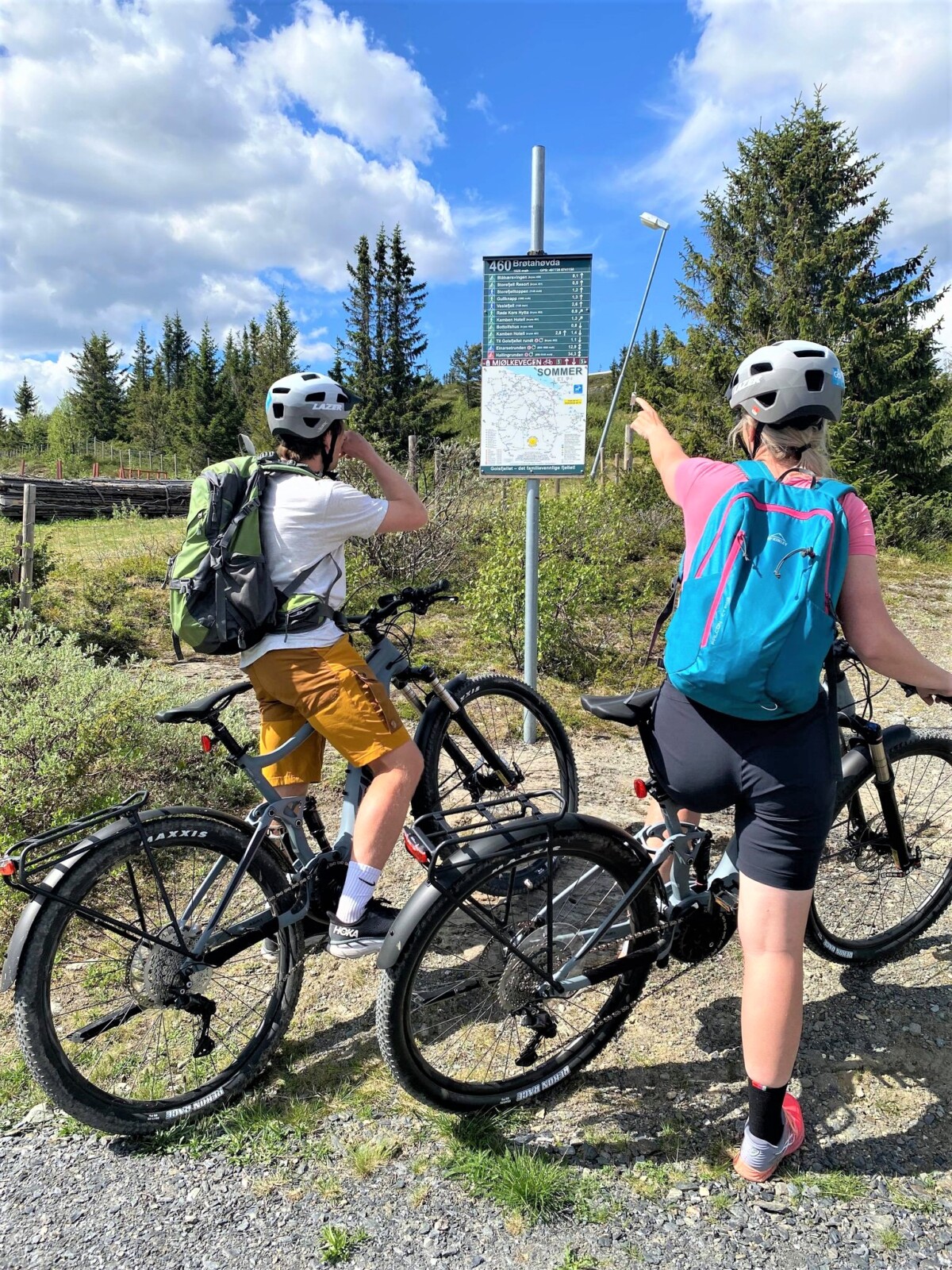 195497001 199572105353869 3544437944046350506 N