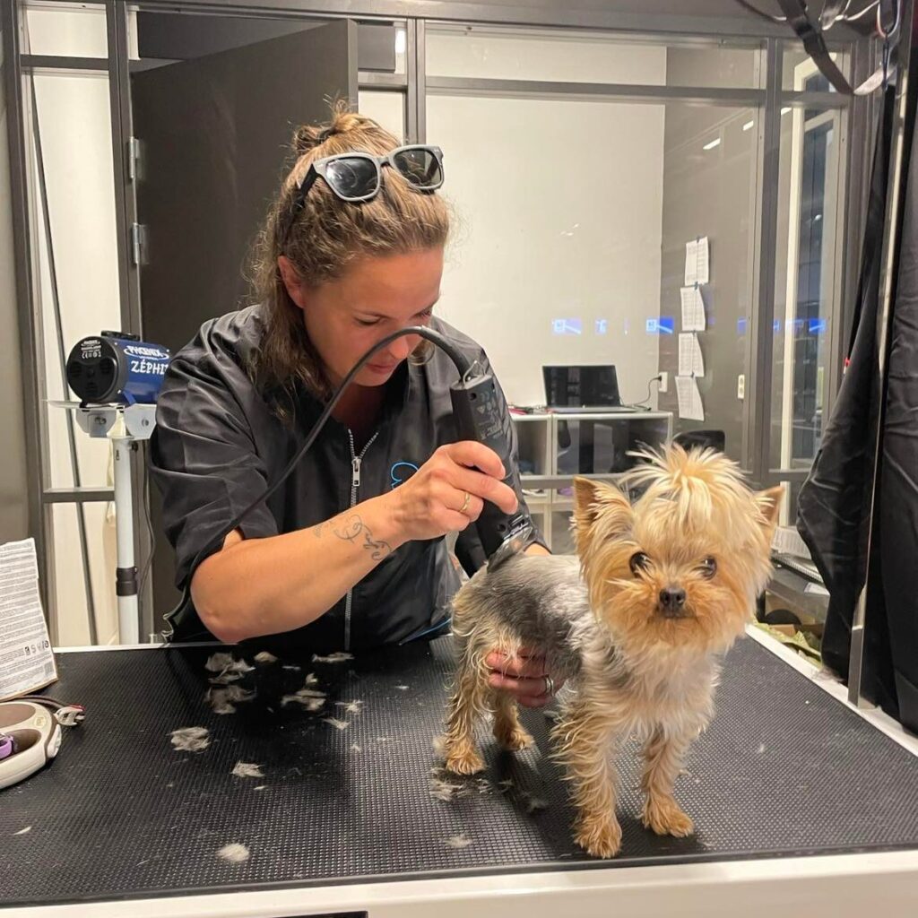 Buddy Gol er en dyrebutikk med utstyr til hund, katt, fugl og smådyr. Her får du personlig service, faglig veiledning og tilgang til hundesalong.