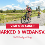 VISIT GOL SØKER
