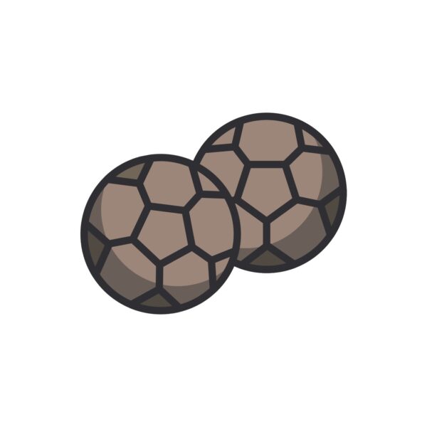 Boccia-sett
