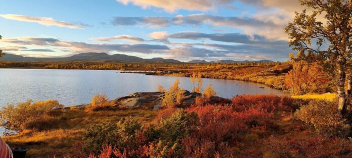 308797588 1130255847613850 3309214440788214532 N