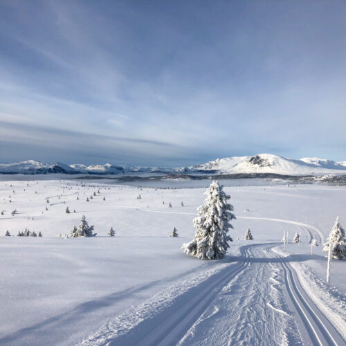 Vinter - Golsfjellet