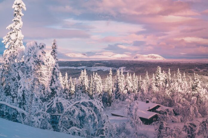 Langstolen Kafe - Syningen Fjellpark - Visit Gol - 4 LQ