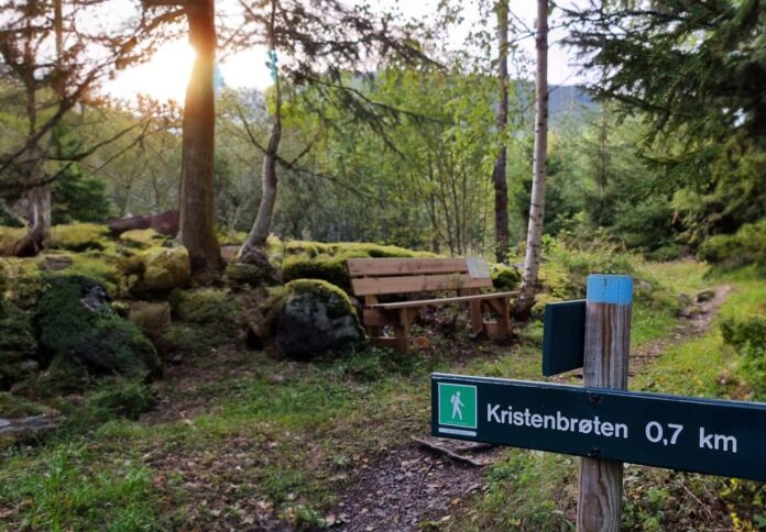 Benkejakten 2023 i Gol