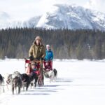 Hemsedal Husky Gollsfjellet Gol 1