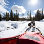 Hemsedal Husky Gollsfjellet Gol 2
