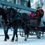 Julegateåpning Hest