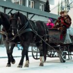 Julegateåpning Hest