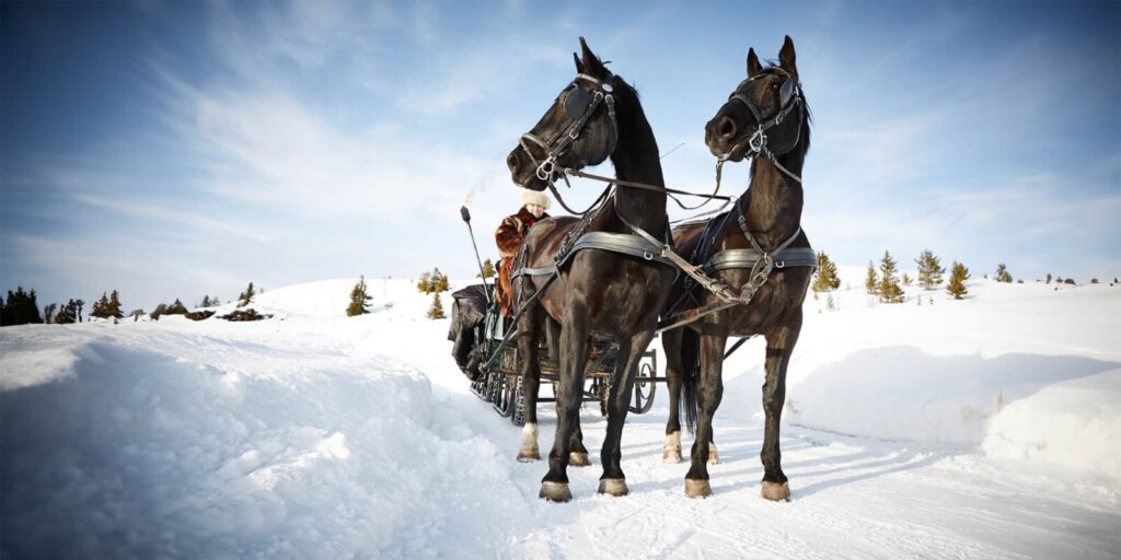 Kanefart på Storefjell byr på en stemningsfull sledetur med hest gjennom snødekte omgivelser. Nyt lyden av dombjeller og varm gløgg sammen med familie og venner.