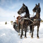 Kantefart på Storefjell