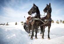 Kanefart på Storefjell