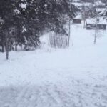 Aking Gol Petterbråten