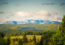Turistinformasjon på Gol Utsiks fra Syningen Visit Gol