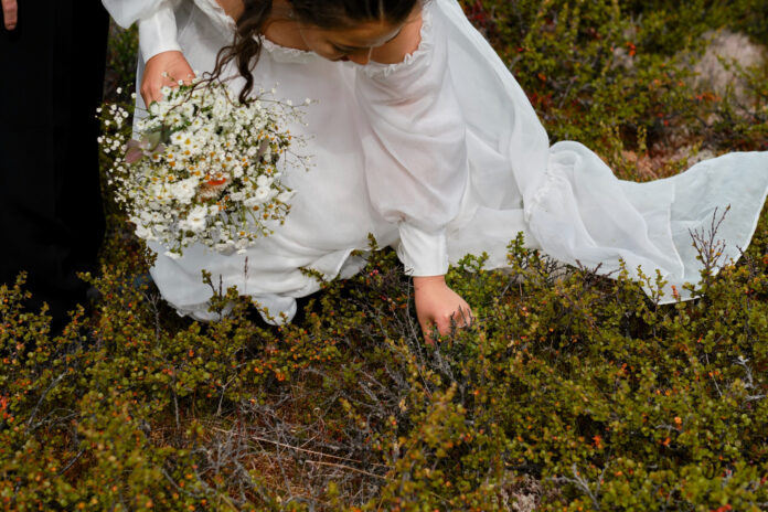 Drop-in bryllup på Golsfjellet, Ørterhøvda, Visit Gol 1