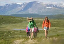 19 turforslag Vandring på Golsfjellet, ved Storefjell Resort