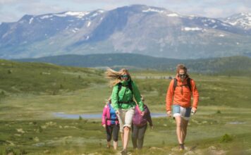 19 turforslag Vandring på Golsfjellet, ved Storefjell Resort