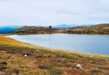 Miljøsertifiserte medlemsbedrifter