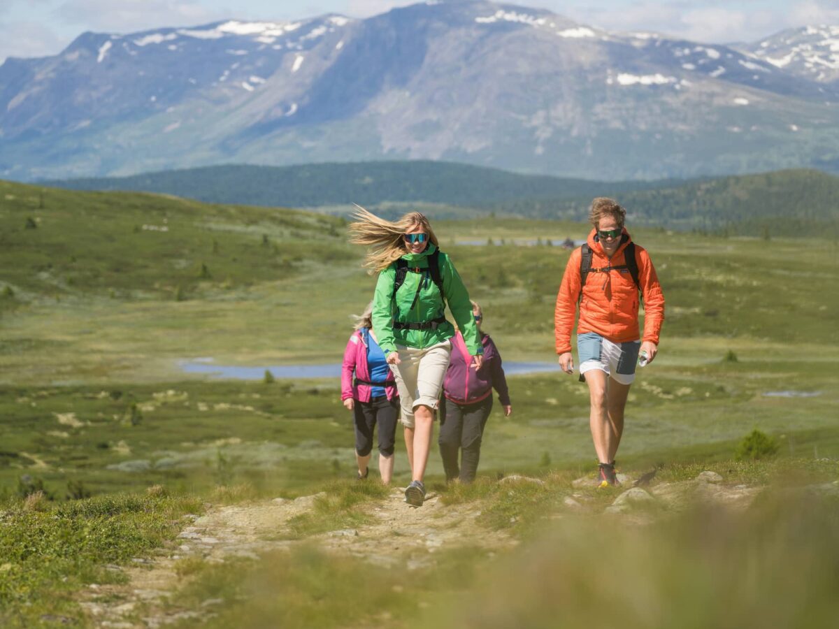 Golsfjellet Sommer Vandring Familie LQ Golsfjellet Sommer Vandring Familie LQ