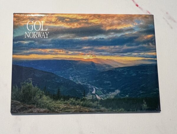 Magnet - GOL