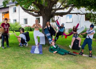 Hallingdal Folkehøgskole: Rom til leie