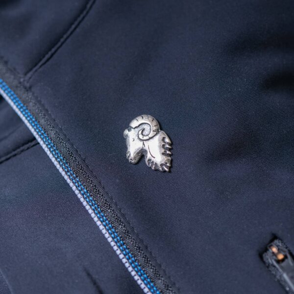 Sau hode - pin