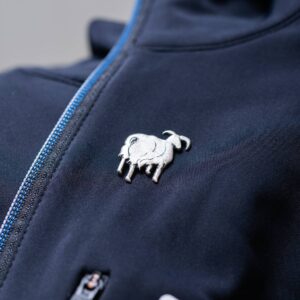 Sau pin
