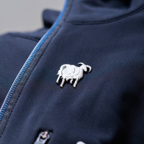 Sau pin