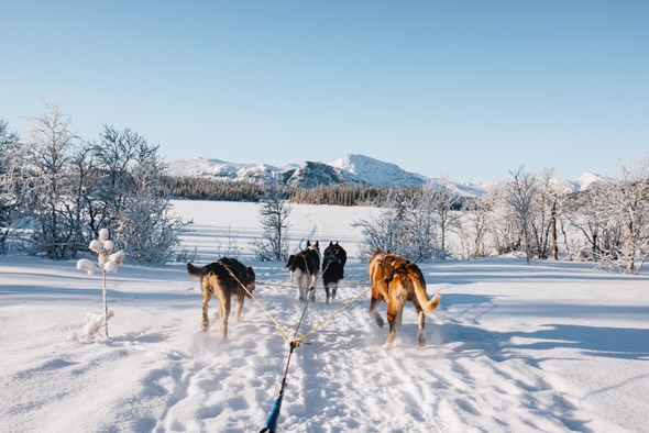 Foto: Dalo Fjellgård