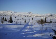 Opplev Hallingdalsløypa Nord – en ekte høyfjellsperle!