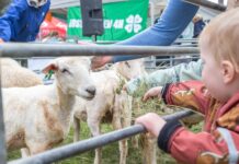 Fårefestivalen 2026 (19.–20. september)