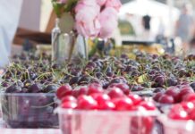 Utstillere Fårefestivalen 2025