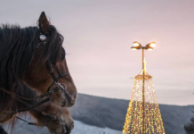 Jul på Gol – Opplev magien i juleferien!