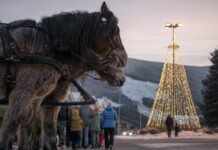 Jul på Gol – julehandel, aktiviteter og opplevelser