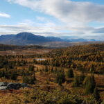 wenche Bratland – golsfjellet