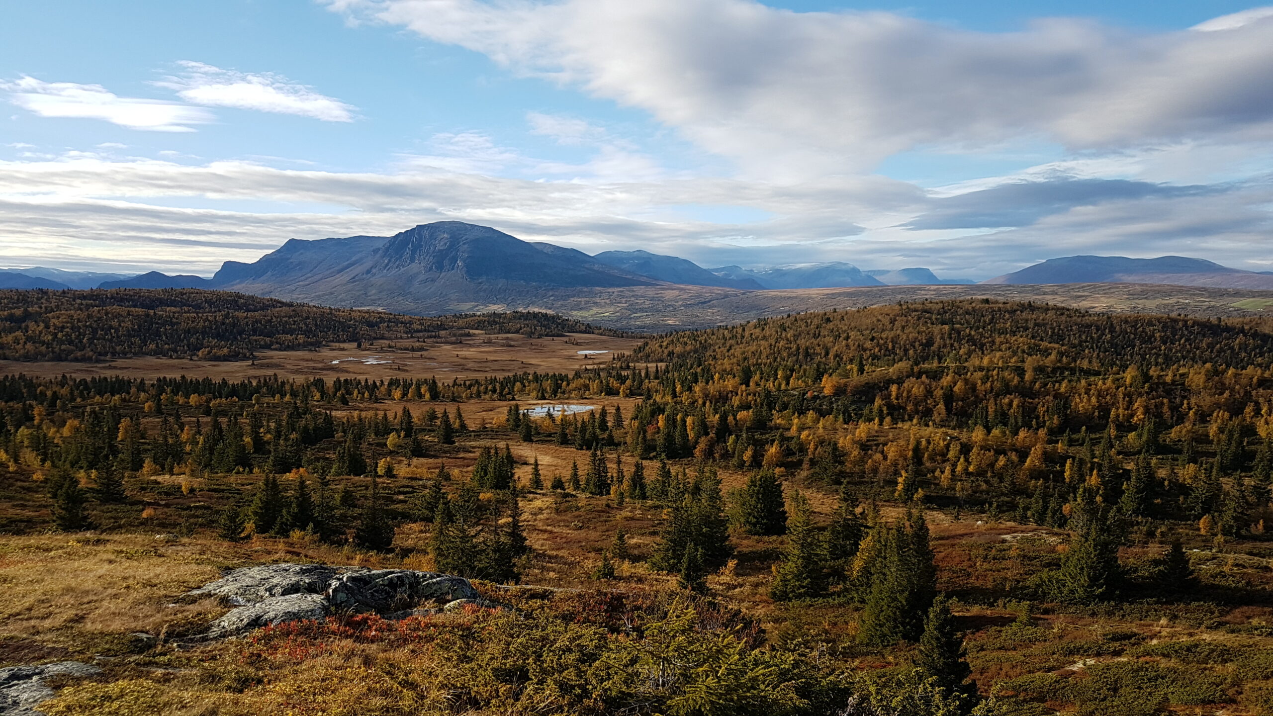 wenche Bratland - golsfjellet